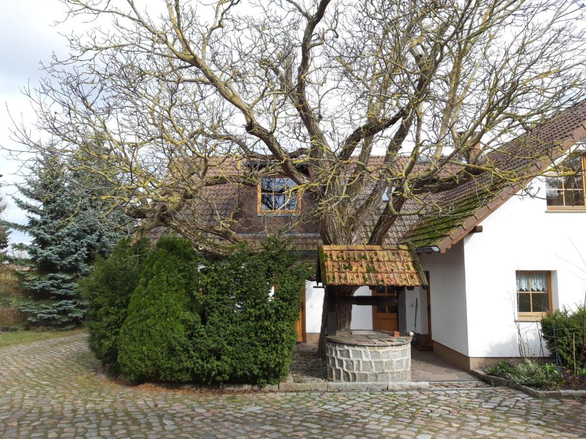 Ein Bett Im Kornfeld - Haus Morgensonne - Mit Innenpool Schonfeld  Ngoại thất bức ảnh