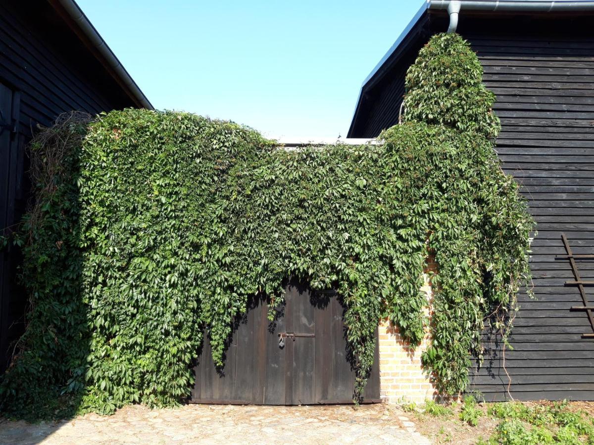 Ein Bett Im Kornfeld - Haus Morgensonne - Mit Innenpool Schonfeld  Ngoại thất bức ảnh