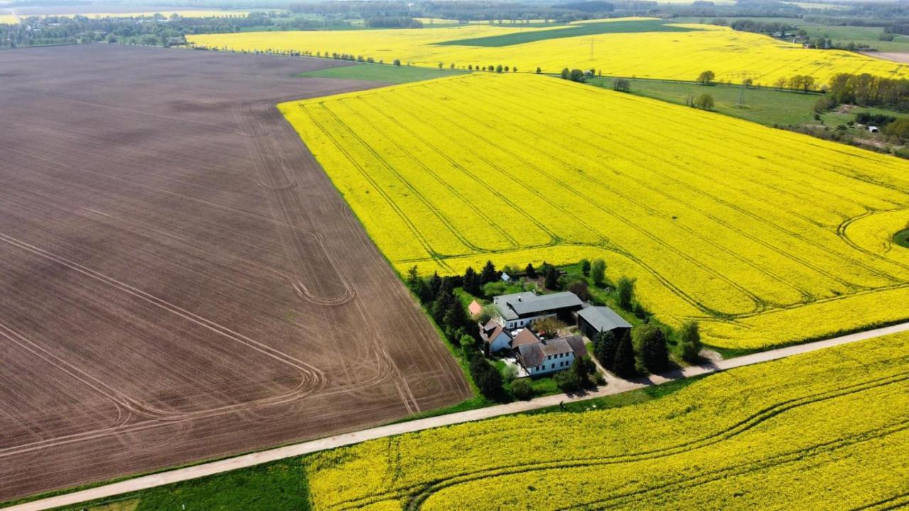 Ein Bett Im Kornfeld - Haus Morgensonne - Mit Innenpool Schonfeld  Ngoại thất bức ảnh