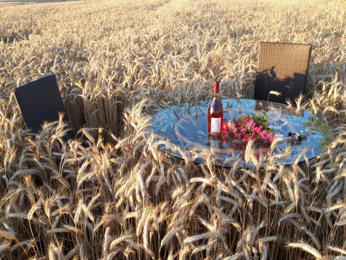 Ein Bett Im Kornfeld - Haus Morgensonne - Mit Innenpool Schonfeld  Ngoại thất bức ảnh